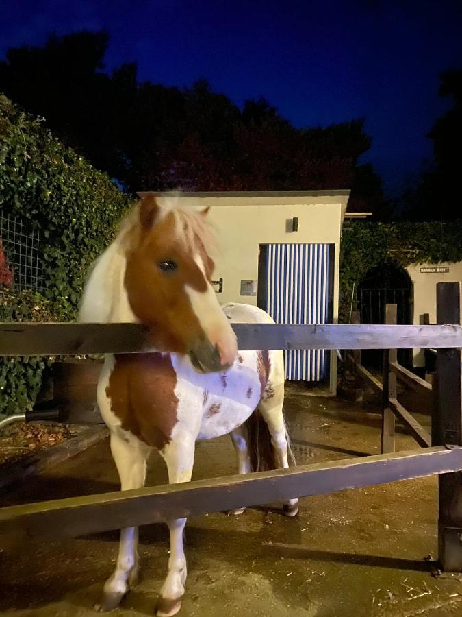 The Stable Annexe & Spa Dogdyke Εξωτερικό φωτογραφία