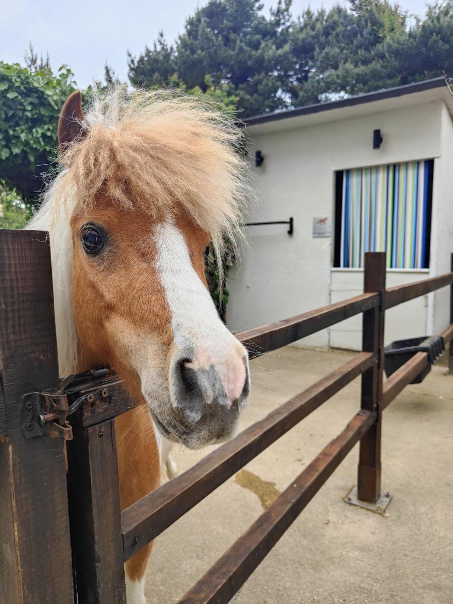 The Stable Annexe & Spa Dogdyke Εξωτερικό φωτογραφία